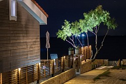 During the night
